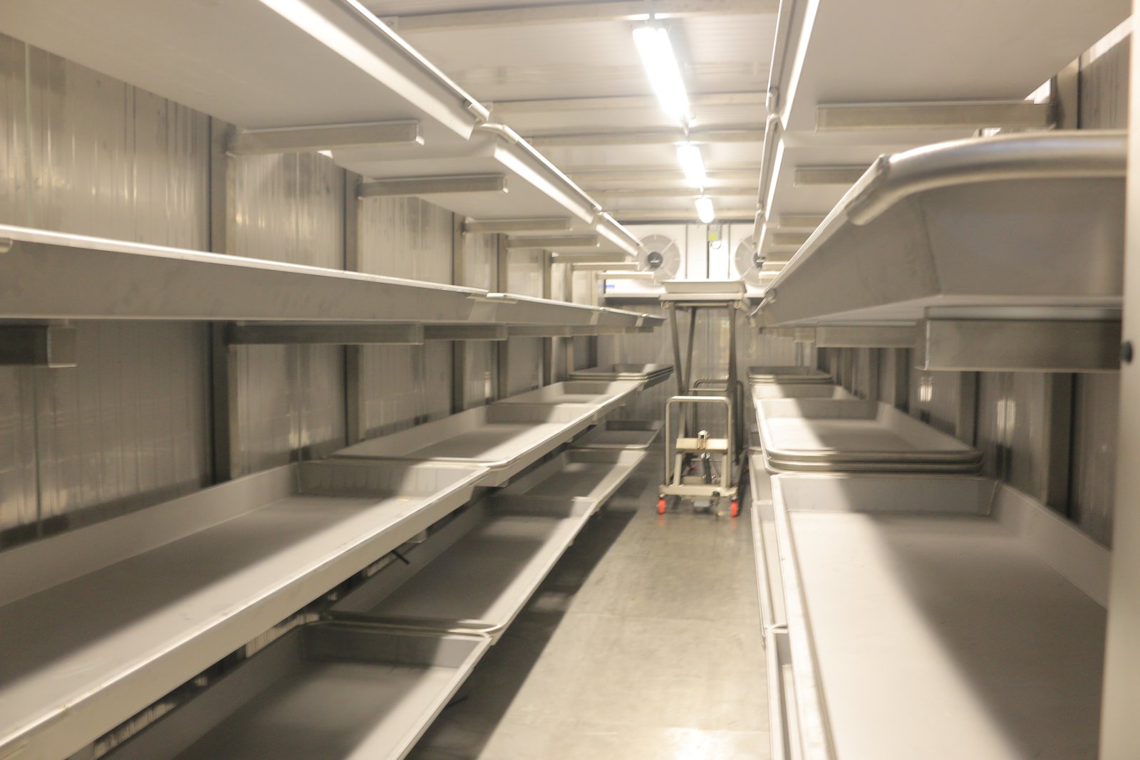 Refrigerated body storage